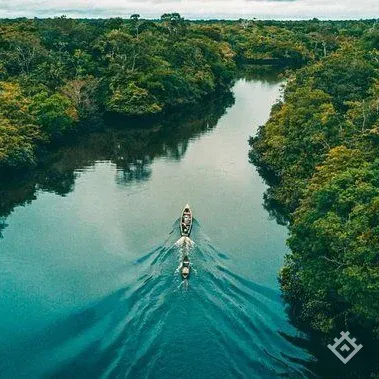 amazonia peruana